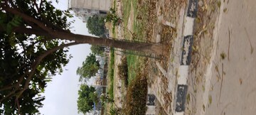  Plot For Sale in Mullanpur