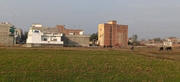  Plot For Sale in Ramnagar