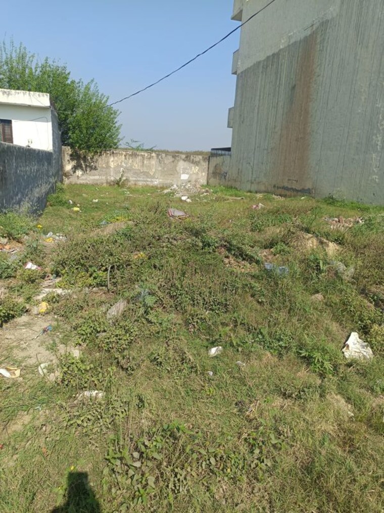 Garden, aerocity  300 Sq.Yd. Plot In Aerocity Mohali 10079613