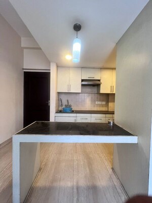 Kitchen in 3 BHK Independent House at RWA Apartments Sector 50, Sector 50 – for Rent