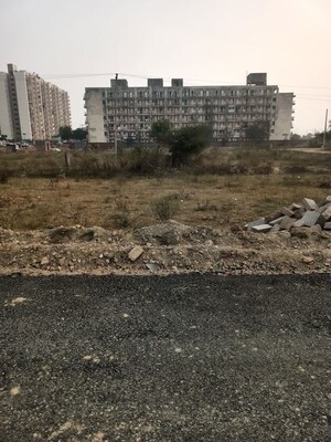 Plot Area in  Plot at Sector 77 – for Sale