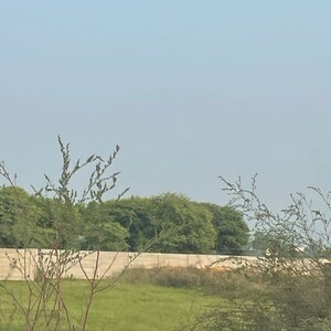 Plot Area in  Plot at Dameera City Plots, Sector 121 – for Sale