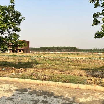 Plot Area in  Plot at Sector 78 – for Sale
