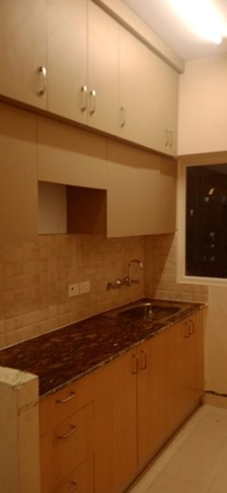 Kitchen, amrapali-dream-valley 1 Bedroom 585 Sq.Ft. Apartment In Tech Zone 4 Greater Noida Greater Noida 10080211