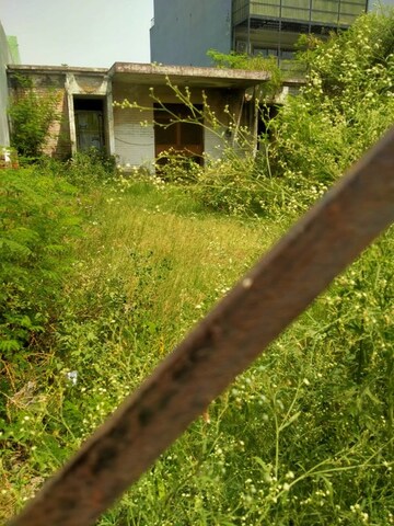  Plot For Sale in Xu 2 Greater Noida