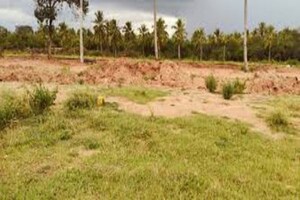   Plot at Panchsheel Park – for Sale