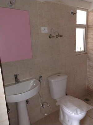 Bathroom in 2 BHK Apartment at Amrapali Terrace Homes, Tech Zone 4 Greater Noida – for Rent