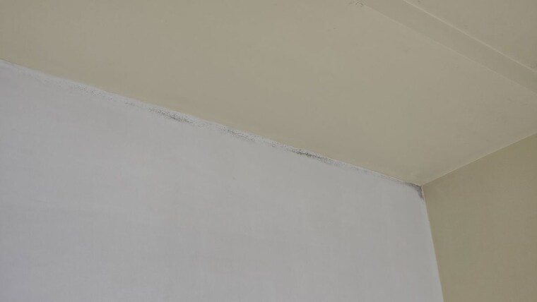 Room, bavdhan 1 Bedroom 700 Sq.Ft. Apartment In Bavdhan Pune 10080459