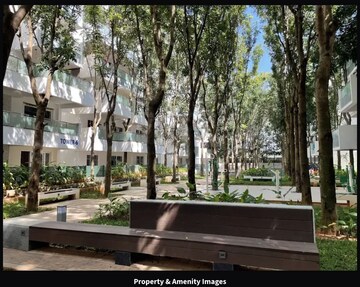 Swimming Pool in 2 BHK Apartment at Mana Tropicale, Gattahalli – for Rent