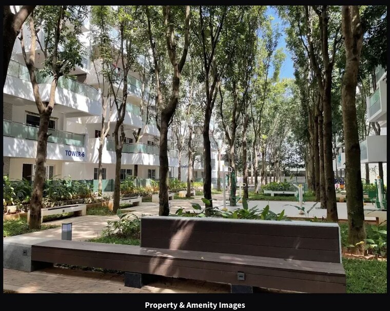 Swimming Pool, mana-tropicale 2 Bedroom 1215 Sq.Ft. Apartment In Gattahalli Bangalore 10080435