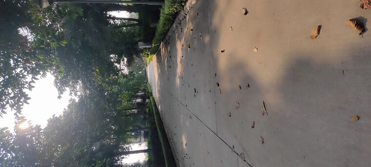 Exterior View, mullanpur  301 Sq.Yd. Plot In Mullanpur Chandigarh 10080676