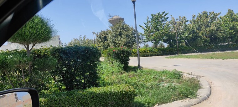 Garden, mullanpur  111 Sq.Yd. Plot In Mullanpur Chandigarh 10080792