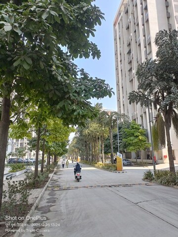 3 BHK Apartment For Sale in Kolte Patil Little Earth, Kiwale