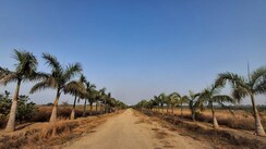 Plot For Sale in Julkal