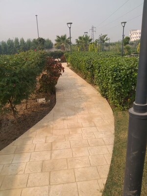 Balcony in 3 BHK Builder Floor at BPTP Park Elite Premium, Sector 84 – for Sale