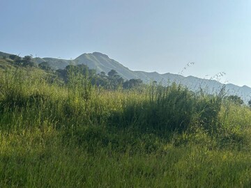  Plot – Exterior View View at Velhe - for Sale