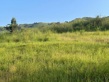 Plot Area in  Plot at Velhe – for Sale