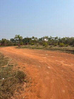 Plot For Sale in Patrapada