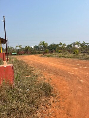 Plot Area in  Plot at Patrapada – for Sale