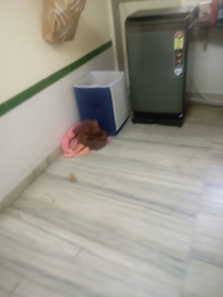 Room, harishchandra-chs 1 Bedroom 400 Sq.Ft. Apartment In Andheri East Mumbai 10083673