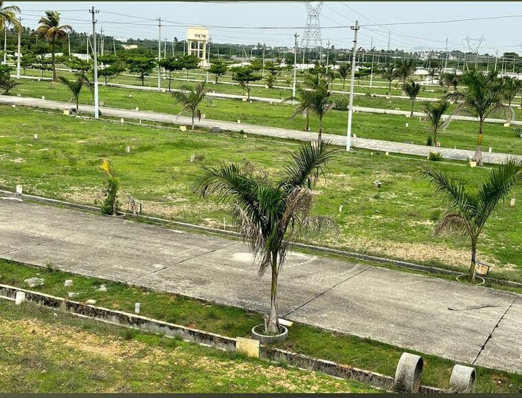 Garden, jigani  1300 Sq.Yd. Plot In Jigani Bangalore 10083783