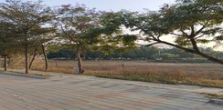 Plot For Sale in BPTP 102 Eden Estate Phase 2