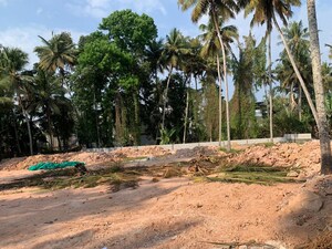 Plot Area in  Plot at Pattom – for Sale