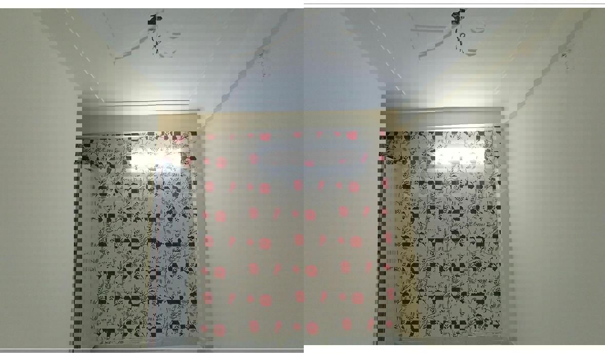 1 BHK + Pooja Room 600 Sq.Ft. Builder Floor in Galaxy Apartments Sector 49