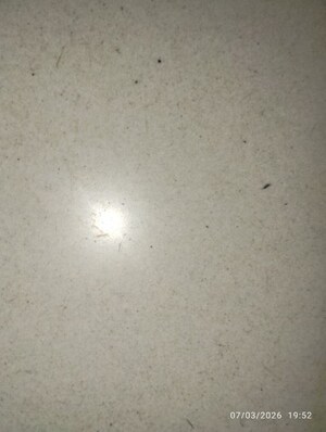 2 BHK Apartment For Rent in Reliance Estate Apartments, Khairatabad