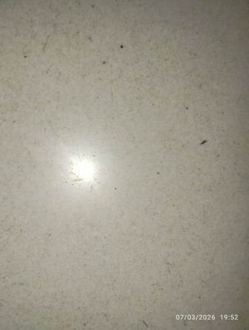 2 BHK Apartment For Rent in Reliance Estate Apartments, Khairatabad