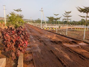 Plot Area in  Plot at Nimz County, Kamkole – for Sale