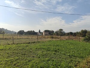 Plot Area in  Plot at Kotabagh – for Sale