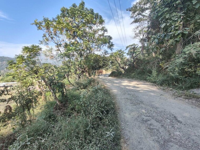 Garden, kotabagh  756 Sq.Yd. Plot In Kotabagh Nainital 10085312