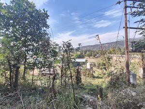 Plot Area in  Plot at Kotabagh – for Sale