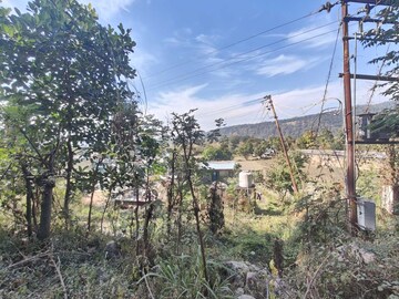 Plot Area in  Plot at Kotabagh – for Sale