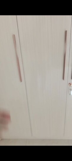 3 BHK + Servant Room Apartment For Rent in Smart World Gems