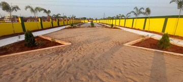  Plot – Exterior View View at Pamarru - for Sale