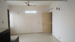 3 BHK Apartment For Rent in Tulip Orange