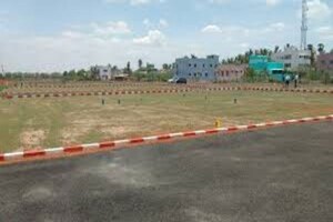  Plot For Sale in New Friends Colony