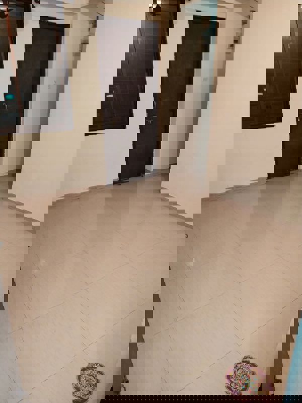 1 BHK 450 Sq.Ft. Apartment in Athene CHS