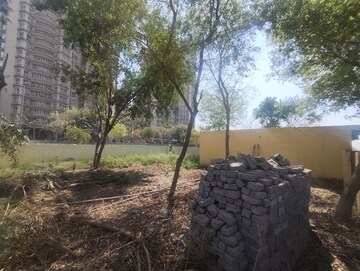 Plot Area in  Plot at Sector 110 – for Sale