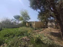 Plot For Sale in Sector 110