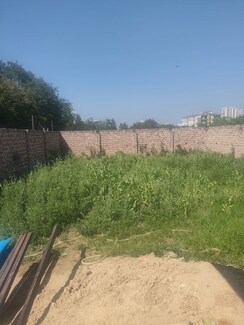 Plot For Sale in Palam Vihar