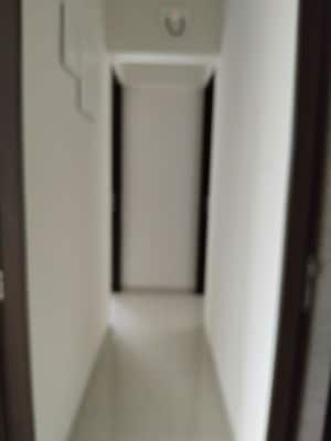 Building Lobby in 3 BHK Apartment at Magarpatta Trillium, Hadapsar – for Rent