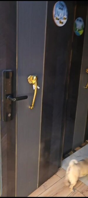 Furnished Amenities in 4 BHK Apartment at JKG Palm Resort, Raj Nagar Extension – for Sale