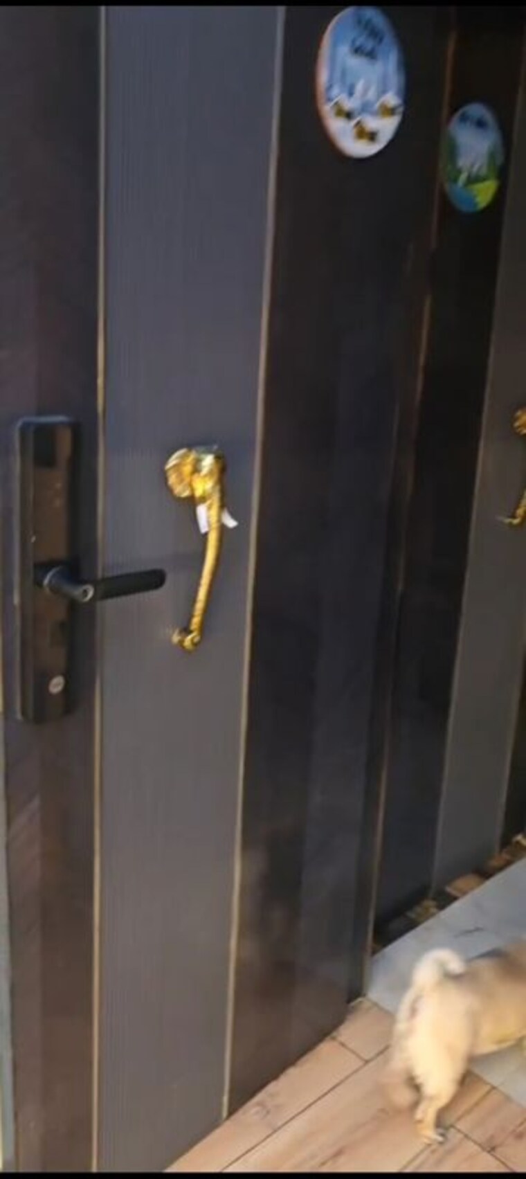 undefined, jkg-palm-resort 4 Bedroom 2010 Sq.Ft. Apartment In Raj Nagar Extension Ghaziabad 10087091