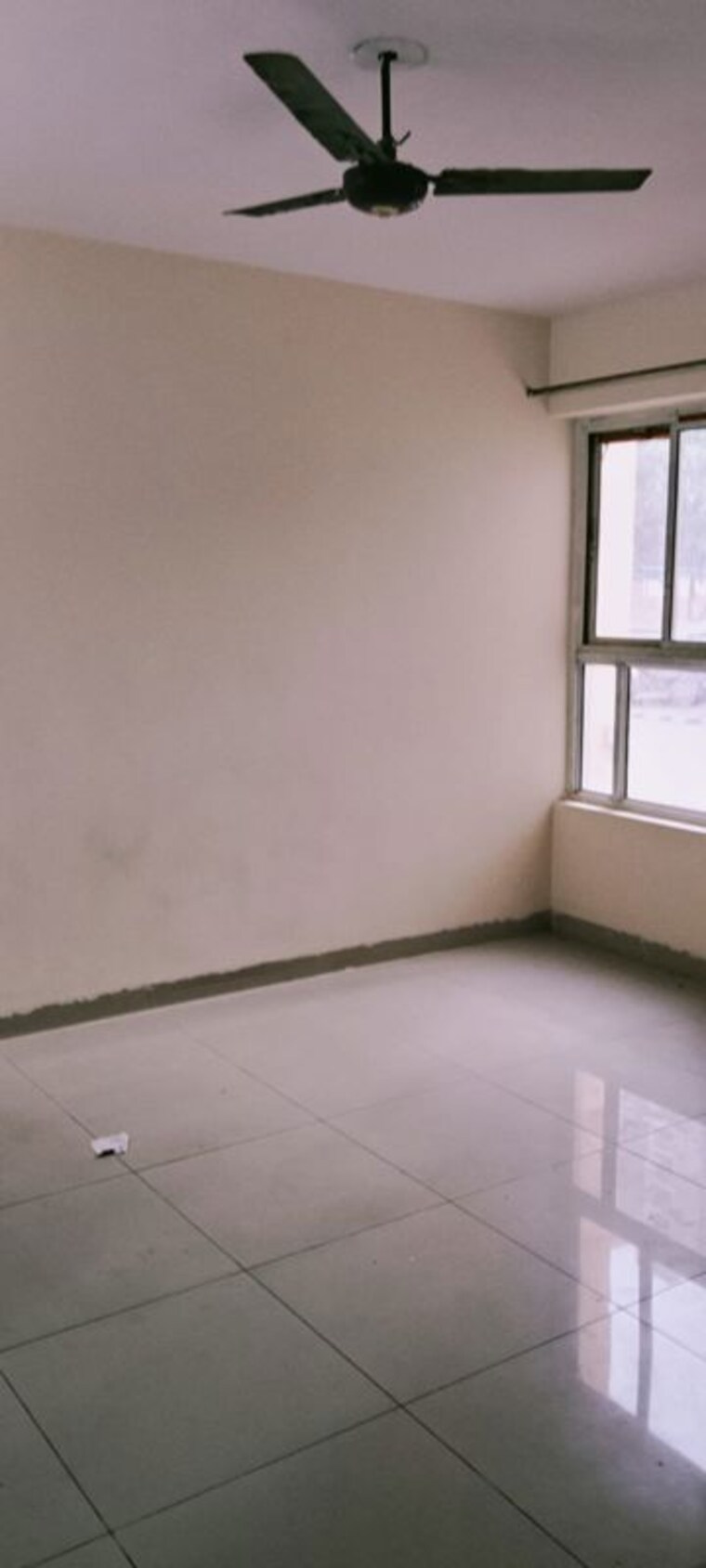 Room, wave-dream-homes 2 Bedroom 808 Sq.Ft. Apartment In Wave City Ghaziabad 10087165