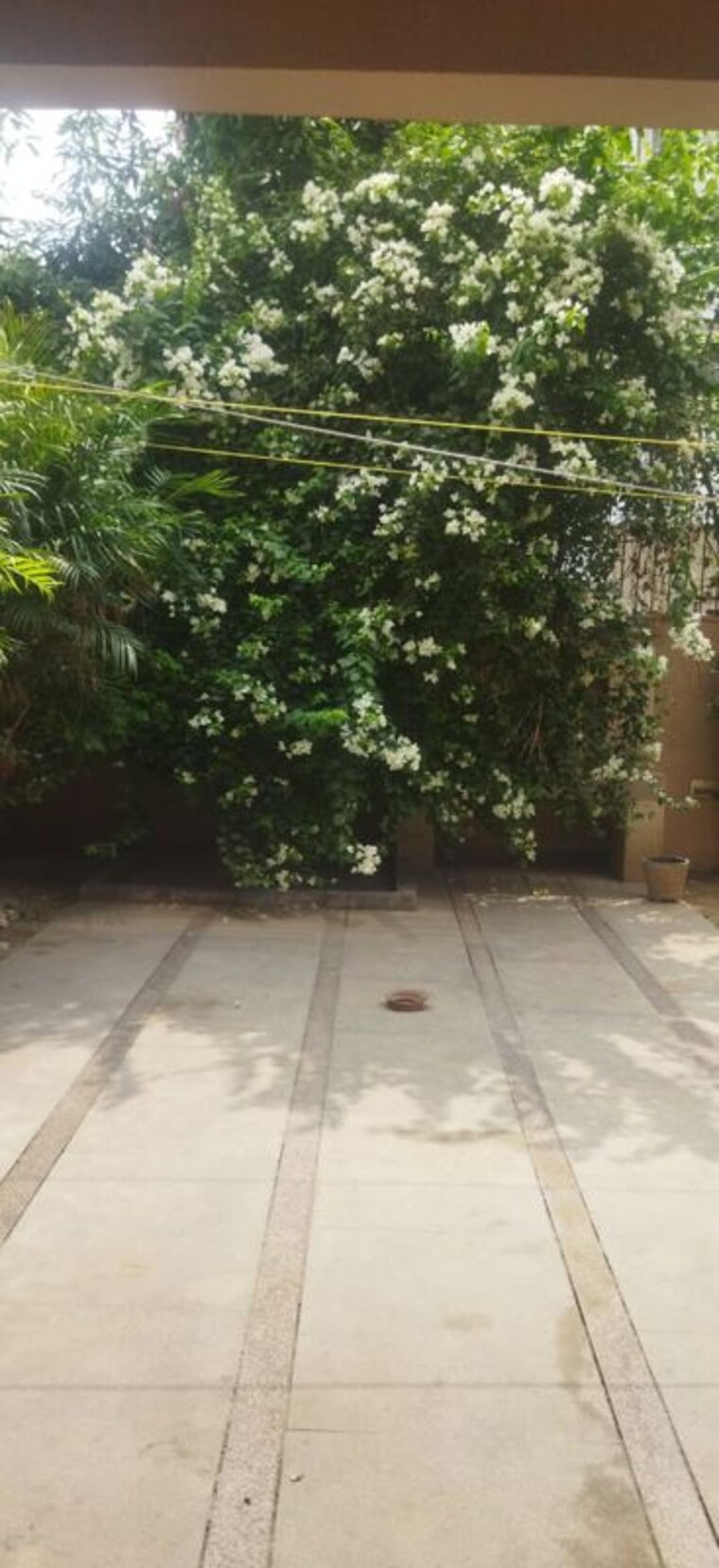 Garden, unitech-uniworld-resorts-the-residences 5 Bedroom 6750 Sq.Ft. Villa In Sector 33 Gurgaon 10086760