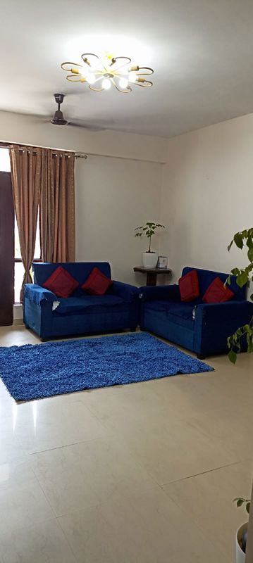 2 BHK Apartment For Rent in TDI City Kingsbury