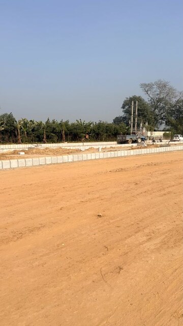 Plot Area in  Plot at Sector 98 – for Sale